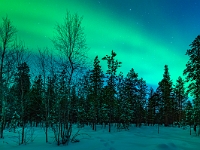Aurora Village Ivalo